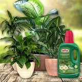 Ingrasamant lichid SUBSTRAL pentru plante verzi, biostimulator natural pentru cresteri puternice, 500 ml