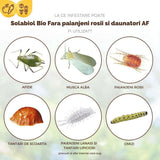 Spray insecticid organic SOLABIOL gata de utilizat, impotriva acarienilor si daunatorilor, 500 ml