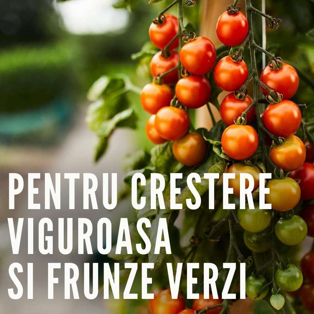 Fungicid concentrat COMPO Ortiva Special Pilz-frei AF pentru plante ornamentale si legume, 1 l
