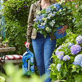 Pamant hortensie albastra FLORAGARD Endless Summer, substrat special pentru hortensii albastre, 20 L