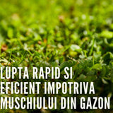 Erbicid spray COMPO pentru buruieni din gazon, Banvel Quattro Transparent, 1 l