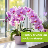 Spray insecticid PROTECT GARDEN Lizetan pentru orhidee, 500 ml