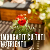 Ingrasamant lichid COMPO pentru flori cu efect de lunga durata 60 zile, 750 ml