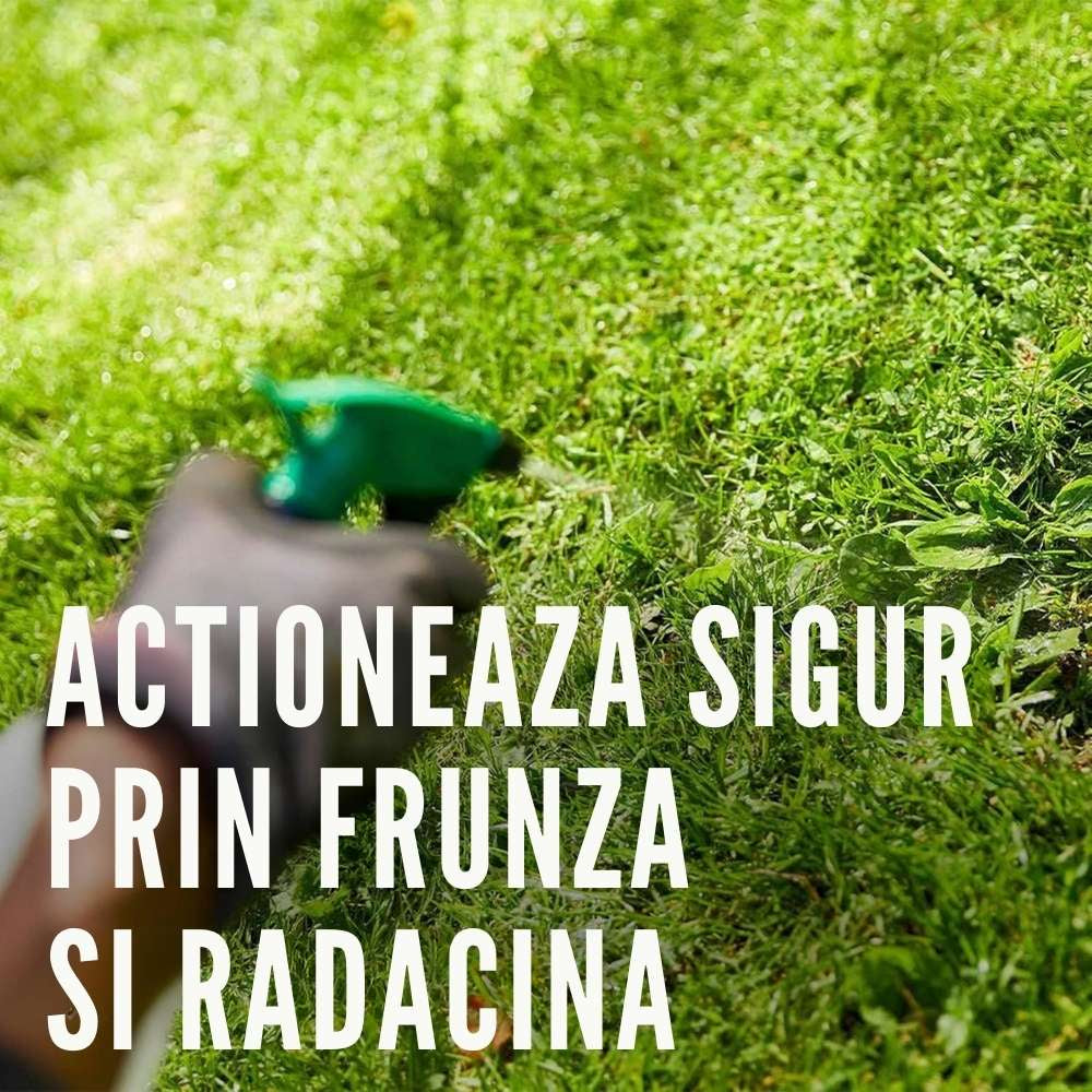 Substrat pentru semanat COMPO SANA pentru ierburi si plante tinere, pamant special cu fertilizare initiala, 20 litri