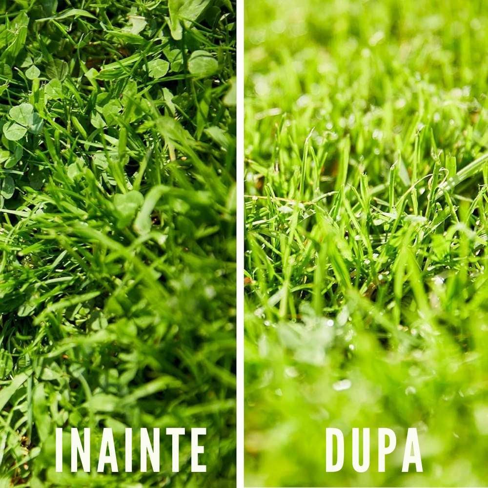 Substrat pentru semanat COMPO SANA pentru ierburi si plante tinere, pamant special cu fertilizare initiala, 20 litri