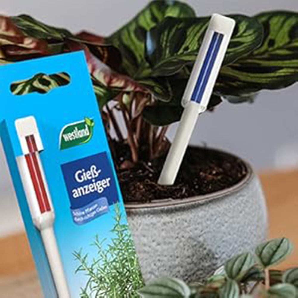 Indicator udare plante WESTLAND pentru toate plantele in ghiveci, control umiditate sol, 16 cm, alb