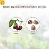 Capcane cu feromoni SOLABIOL pentru musca ciresei si musca nucului, 5 buc, lipici rezistent la apa, fara insecticide