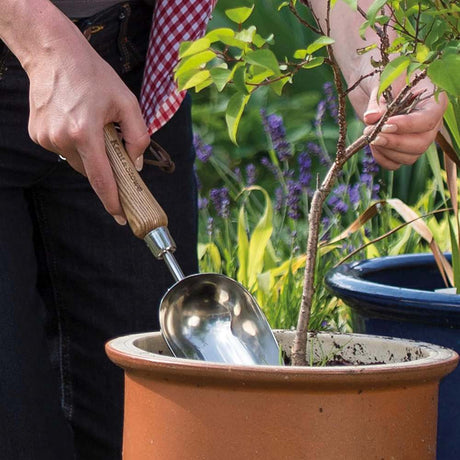 Lopatica plantare KENT & STOWE din inox, maner din lemn de frasin, 33 cm, garantie 15 ani
