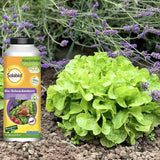 Momeala melci SOLABIOL organica, pentru combaterea limacsilor, 800 g