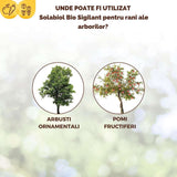 Vopsea trunchi arbori Solabiol, vopsea alba pentru protectie organica, 1 kg