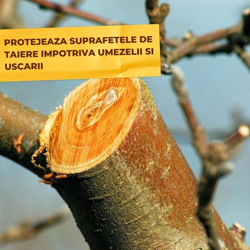 Vopsea trunchi arbori Solabiol, vopsea alba pentru protectie organica, 1 kg