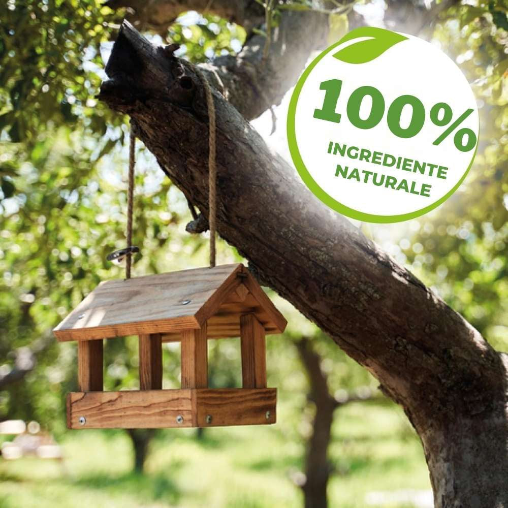 Vopsea trunchi arbori Solabiol, vopsea alba pentru protectie organica, 1 kg