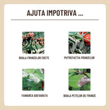 Spray fungicid organic cu lecitina, SUBSTRAL, 750 ml, protectie naturala impotriva bolilor fungice, sanatate sporita pentru plante