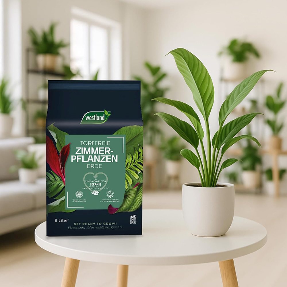 Substrat plante interior WESTLAND cu granule de argila, sol nutritiv pentru crestere sanatoasa, 8 l