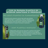 Substrat plante interior WESTLAND cu granule de argila, sol nutritiv pentru crestere sanatoasa, 8 l