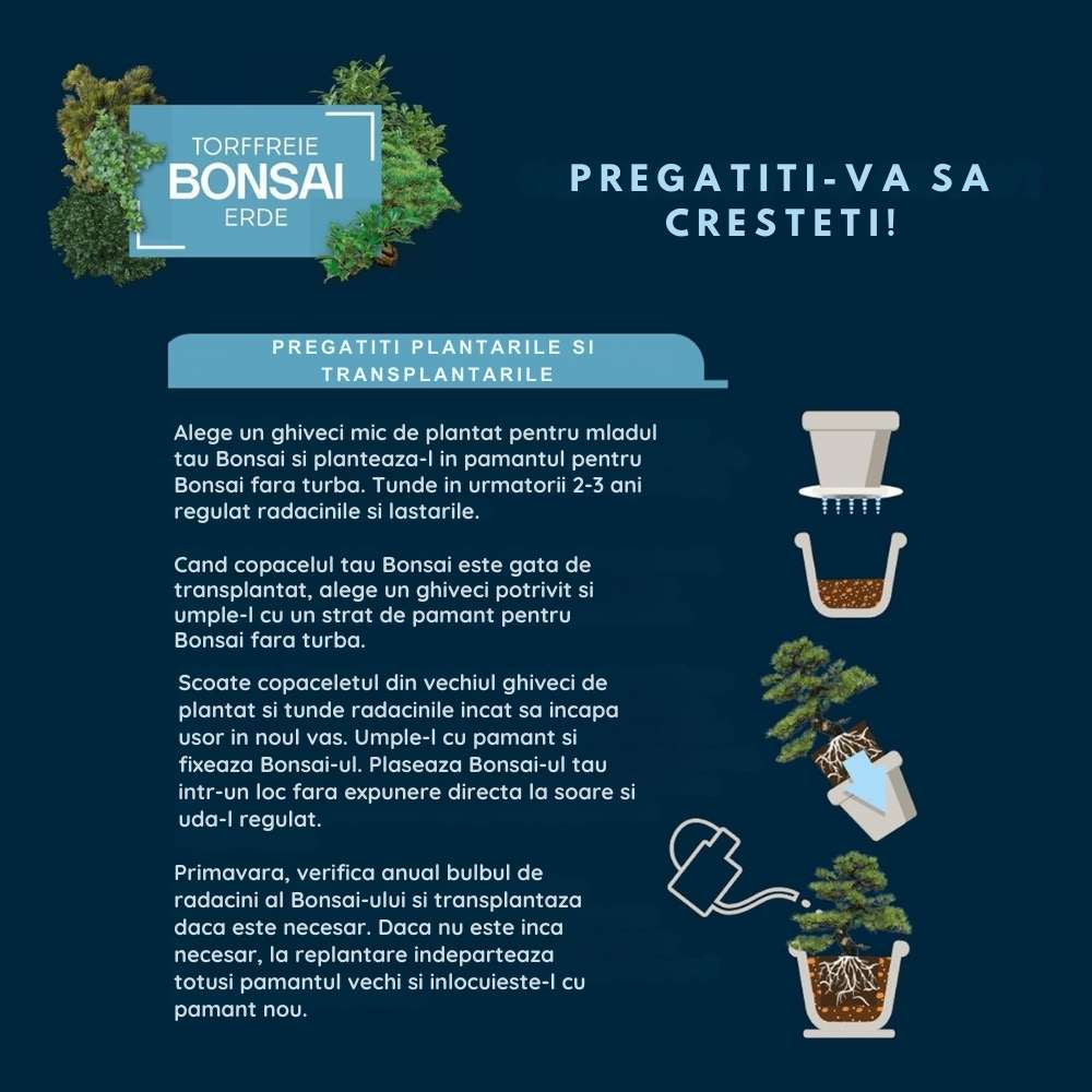 Pamant pentru bonsai WESTLAND, substrat special cu granule de argila pentru radacini puternice si frunze sanatoase, 4 len nutrient distribution At least 6 weeks of nutrient supply