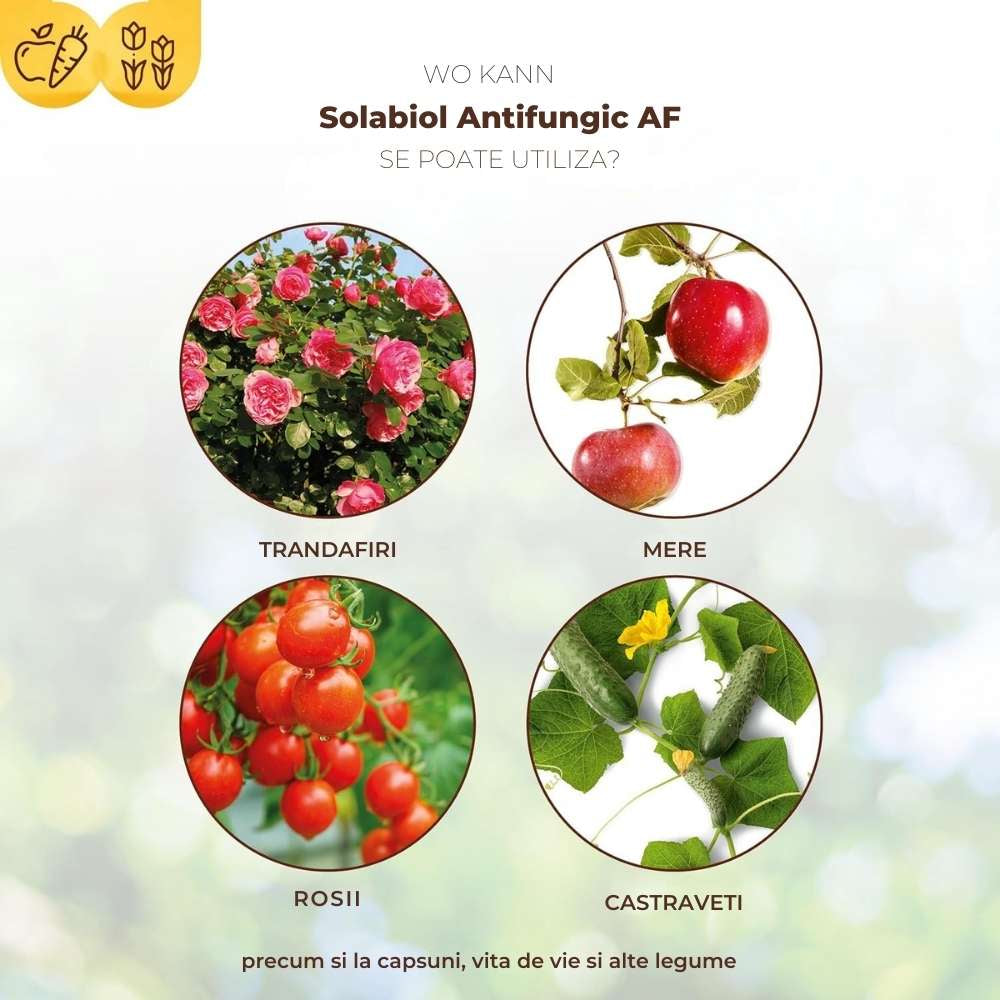 Spray fungicid SOLABIOL fara ciuperci, fainare si rapan, 750 ml