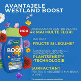 Ingrasamant lichid universal Westland Boost 1, 4x mai multe flori si productie sporita, 1 l