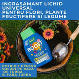 Ingrasamant lichid universal Westland Boost 1, 4x mai multe flori si productie sporita, 1 l