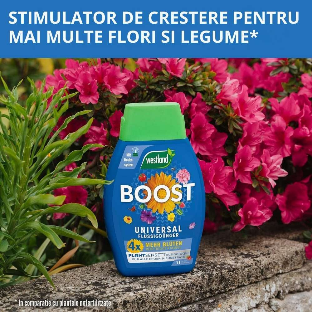 Ingrasamant lichid universal Westland Boost 1, 4x mai multe flori si productie sporita, 1 l