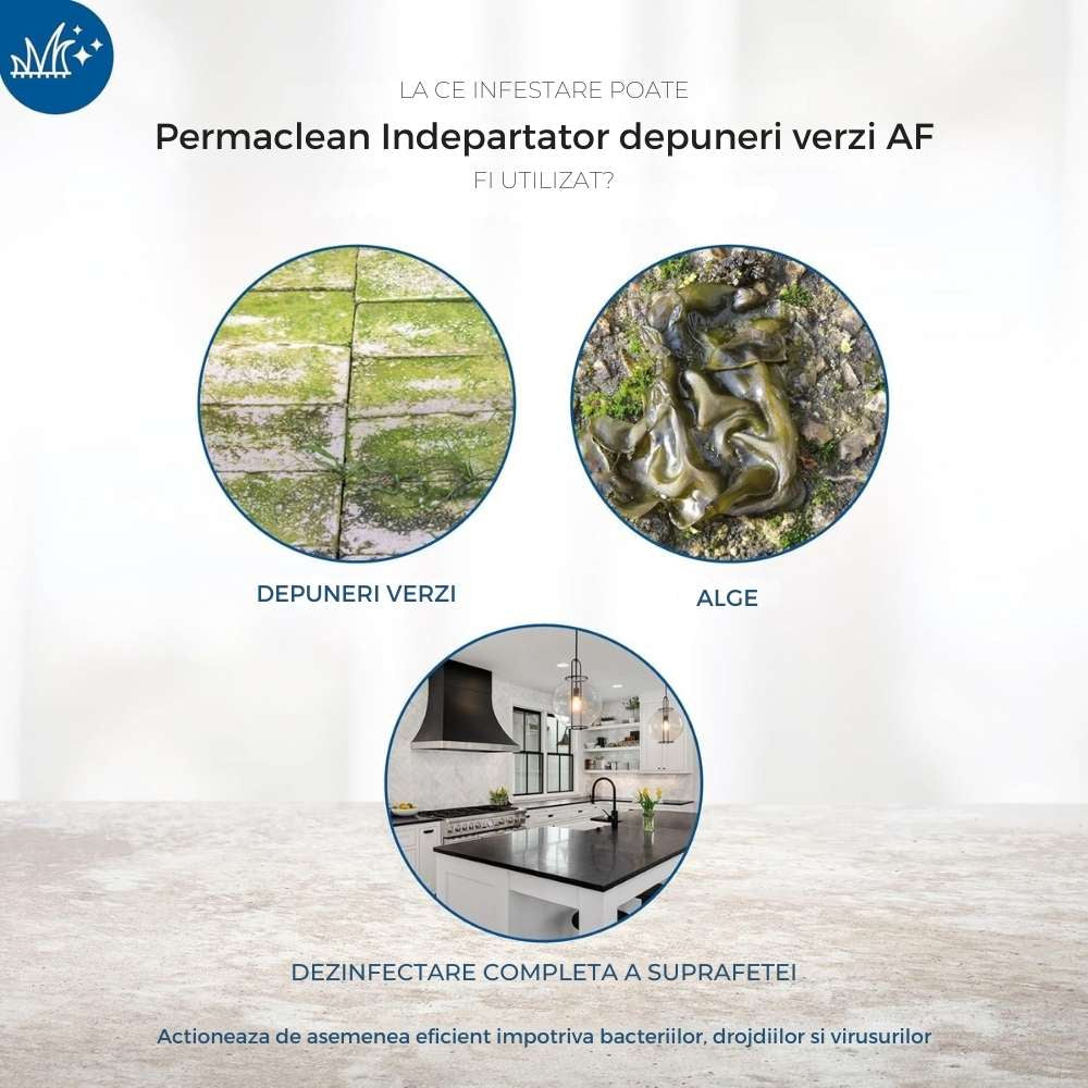 Solutie curatare pietre PROTECT HOME Permaclean AF, spray antialge si verdeata, 500 ml