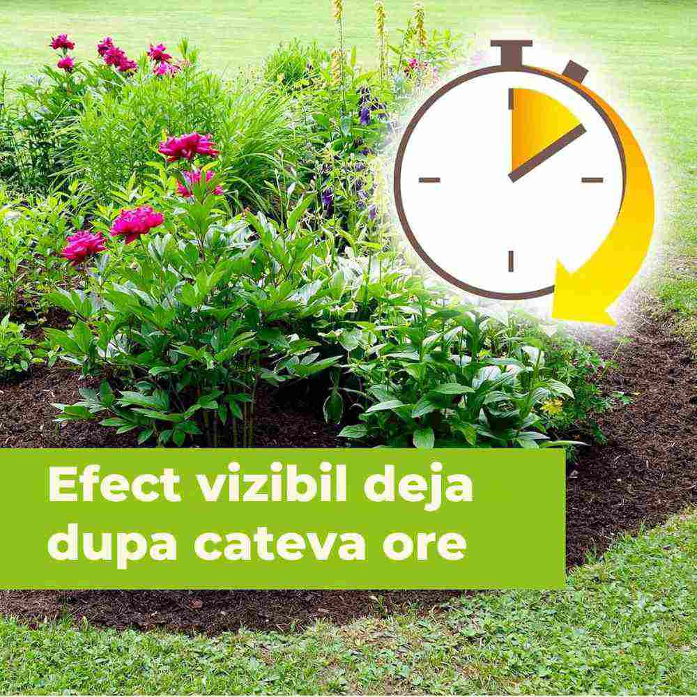 Тотален хербицид без глифосат PROTECT GARDEN Permaclean Express, готов за употреба, бързо действие, 10 кв.м, 1 л