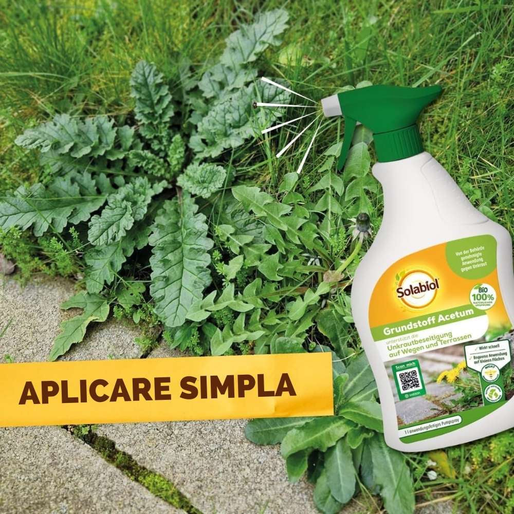 Spray Erbicid pentru combaterea buruienilor SOLABIOL pe baza de acetum, utilizare exterioara, 1 L