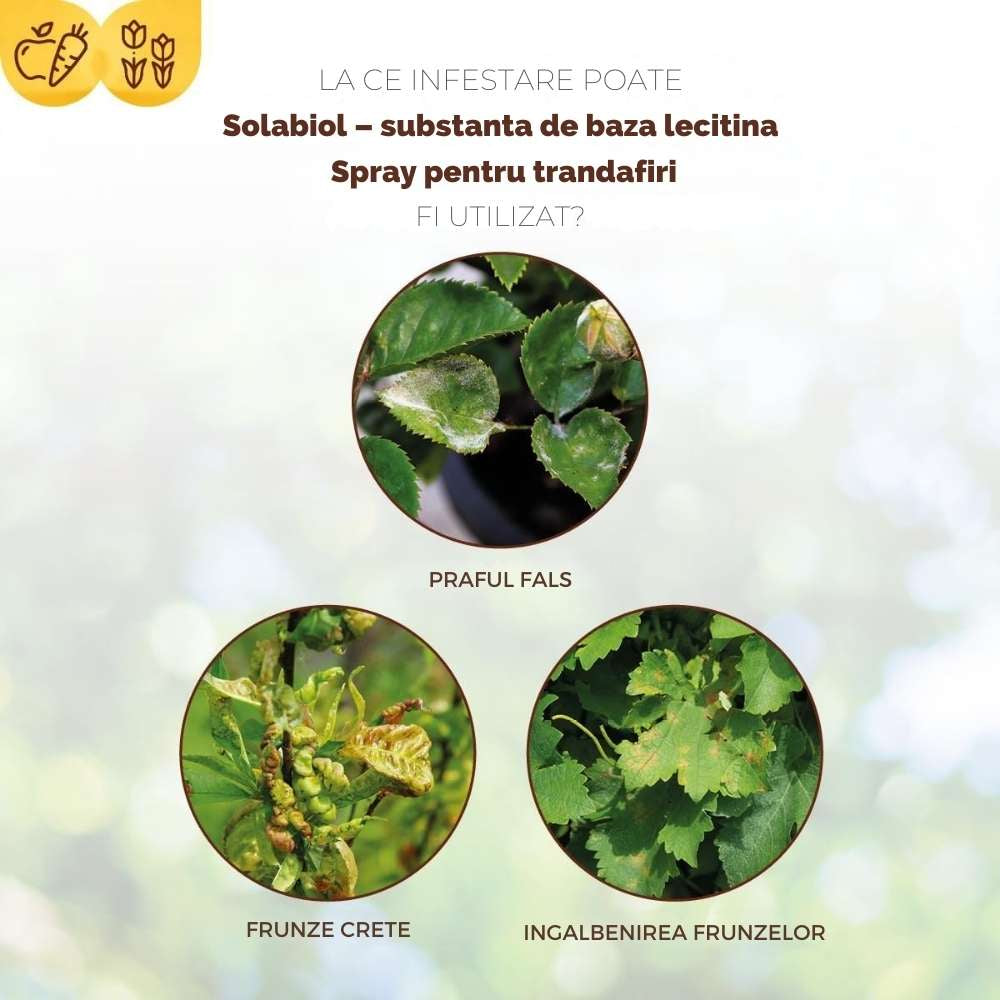 Spray Fungicid organic SOLABIOL cu lecitina pentru trandafiri, protectie naturala, 1 L