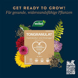 Granule argila WESTLAND pentru plante la ghiveci, drenaj si hidroponie, 6 l