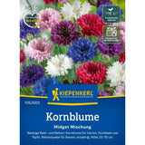 Seminte de albastrele pitice – amestec Midget decorativ, ajunge pentru 80 Plante