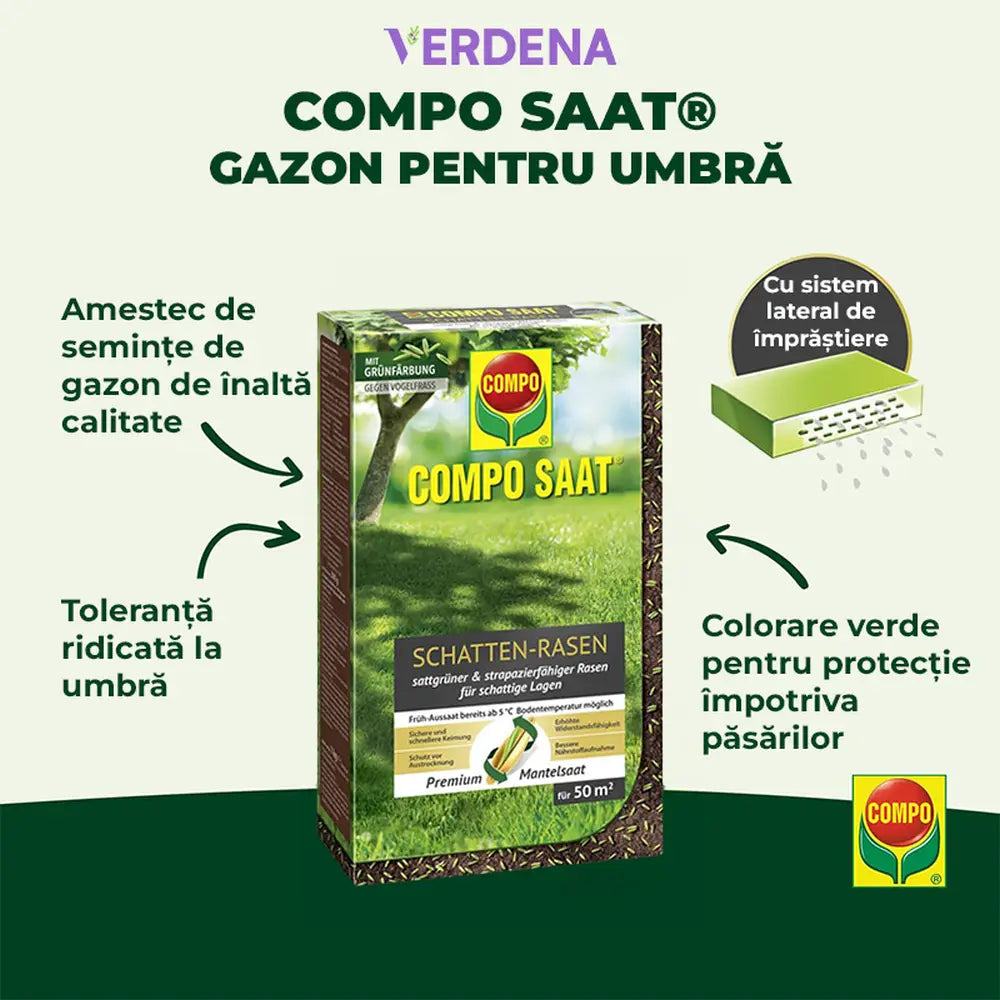 Compo seminte gazon pentru umbra densa, 1 kg pentru 50 mp – amestec profesional pentru zone umbrite si insorite