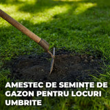 Compo seminte gazon pentru umbra densa, 1 kg pentru 50 mp – amestec profesional pentru zone umbrite si insorite