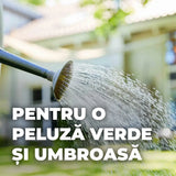 Compo seminte gazon pentru umbra densa, 1 kg pentru 50 mp – amestec profesional pentru zone umbrite si insorite