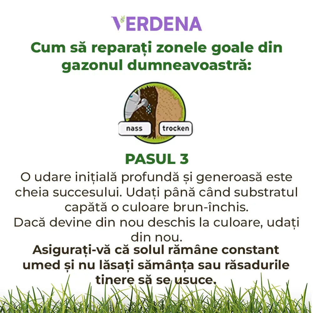 Reparare gazon Substral Plastura Magica 3 in 1, 1 kg, cu seminte gazon substrat si ingrasamant, pentru zone goale