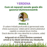 Reparare gazon Substral Plastura Magica 3 in 1, 1 kg, cu seminte gazon substrat si ingrasamant, pentru zone goale