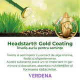 Reparare gazon Substral Plastura Magica 3 in 1, 1 kg, cu seminte gazon substrat si ingrasamant, pentru zone goale
