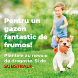 Reparare gazon Substral Plastura Magica 3 in 1 cu seminte gazon substrat si ingrasamant 3 kg pentru zone goale