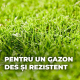 Compo mix complet regenerare gazon, 1.2 kg pentru 6 mp – amestec seminte, substrat si ingrasamant