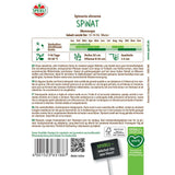 Seminte spanac Monnopa – varietate robusta pentru toamna