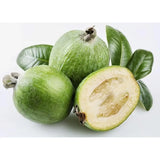 Guava de Ananas (Feijoa sellowiana), cu fructe dulci-acrisoare, cu aroma de ananas si capsuni