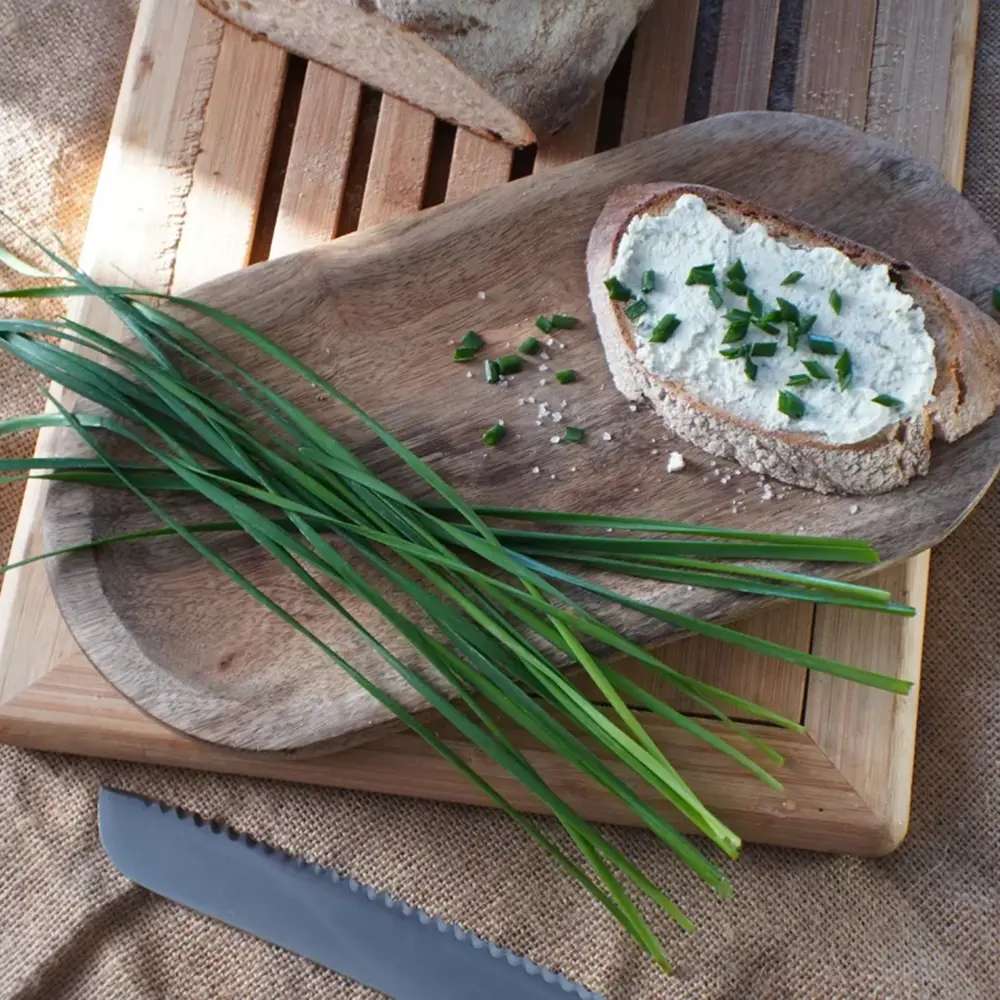 Usturoi chinezesc (Allium tuberosum), planta aromatica perena,  frunze comestibile si flori decorative