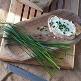 Usturoi chinezesc (Allium tuberosum), planta aromatica perena,  frunze comestibile si flori decorative