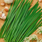 Usturoi chinezesc (Allium tuberosum), planta aromatica perena,  frunze comestibile si flori decorative