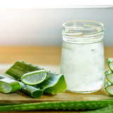 Aloe Vera растение в саксия, 55-65 см, естествен гел за кожа, грижа и лечение