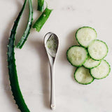 Aloe Vera растение в саксия, 55-65 см, естествен гел за кожа, грижа и лечение