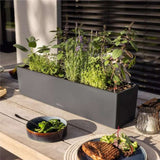 Ghiveci Auto-Irigant Lechuza Balconera Color 80, 12 l, gri mat, sistem de autoirigare, insert detasabil, strat de drenaj