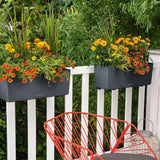Ghiveci Auto-Irigant Lechuza Balconera Color 50, 8 l, gri mat, sistem de autoirigare, insert detasabil, strat de drenaj