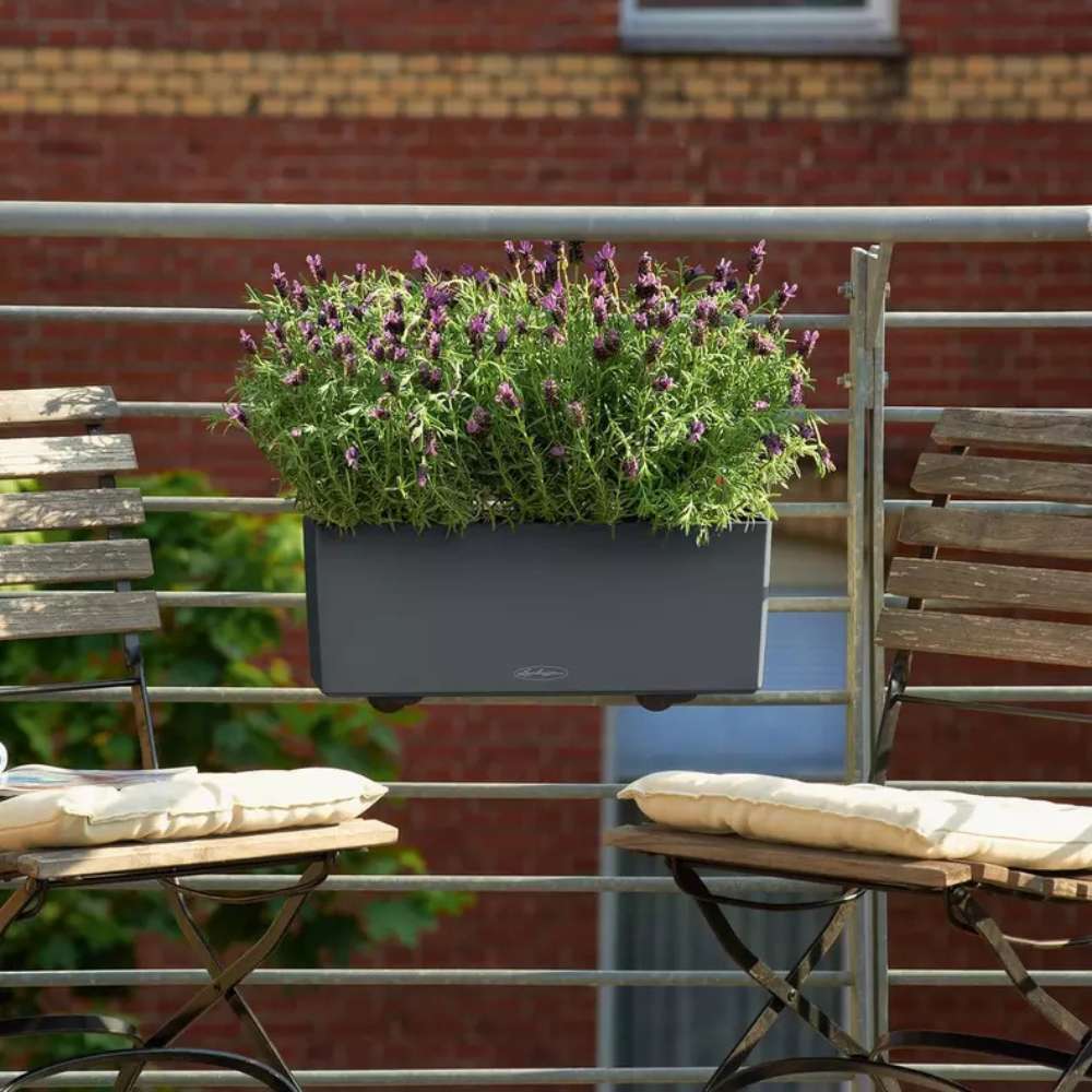 Ghiveci Auto-Irigant Lechuza Balconera Color 50, 8 l, gri mat, sistem de autoirigare, insert detasabil, strat de drenaj