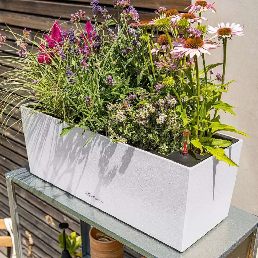 Ghiveci Auto-Irigant Lechuza Balconera Stone 50, 8 l, efect de piatra gri, sistem de autoirigare, insert detasabil, strat de drenaj