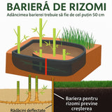 Градински златен бамбук (Phyllostachys Aurea), жълти стъбла, студоустойчив, гъст жив плет